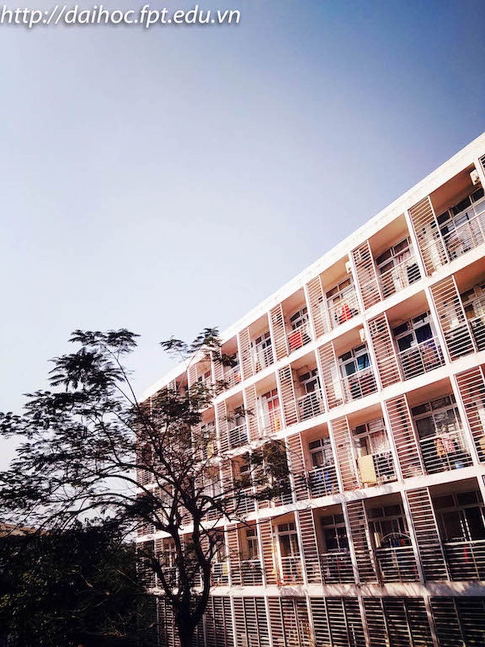 Toàn cảnh tư vấn từ A-Z tuyển sinh vào ĐH FPT năm 2019 - 21 Toàn cảnh tư vấn từ A-Z tuyển sinh vào ĐH FPT năm 2019 - 21