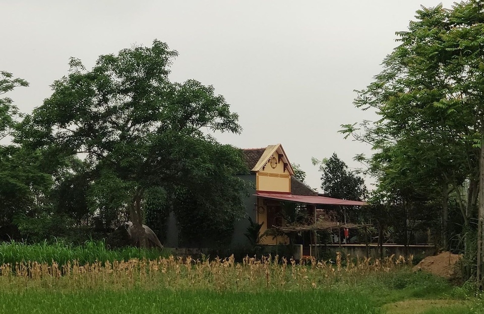 Thanh Hóa: Cán bộ xã xây nhà trái phép trên đất giao thầu - 1 Thanh Hóa: Cán bộ xã xây nhà trái phép trên đất giao thầu - 1