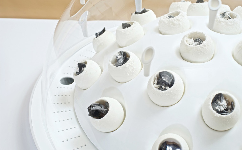 Khó tin công nghệ biến rác nhựa thành… nấm ăn! - 1