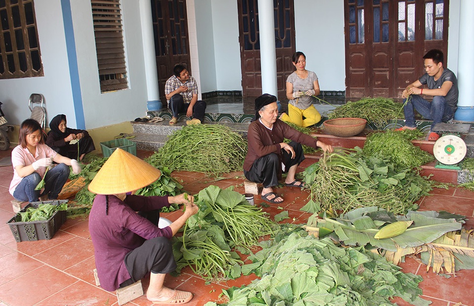 Cặp vợ chồng 20 năm giữa đảo hoang, mỗi ngày 2 tạ rau bí bán khắp Hà Nội - 4 Cặp vợ chồng 20 năm giữa đảo hoang, mỗi ngày 2 tạ rau bí bán khắp Hà Nội - 4