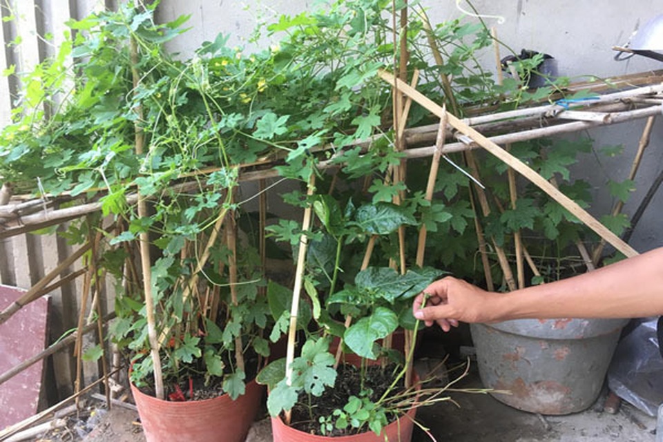 Chuyện khó tin bên trong biệt thự triệu đô bỏ hoang ở Sài Gòn - 14 Chuyện khó tin bên trong biệt thự triệu đô bỏ hoang ở Sài Gòn - 14