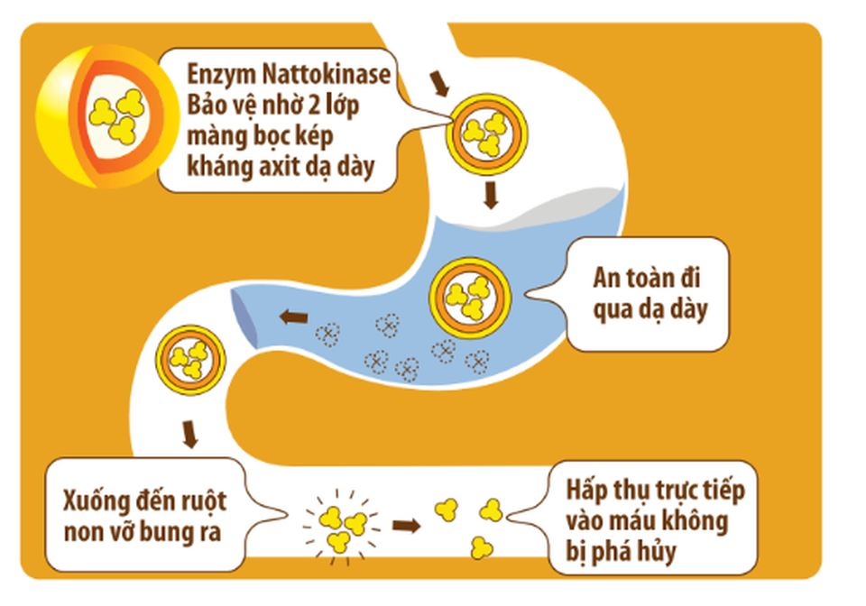 Học cách xử lý mỡ máu cao đơn giản của người Nhật - 2 Học cách xử lý mỡ máu cao đơn giản của người Nhật - 2