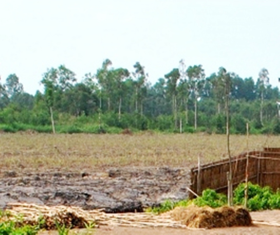 Tranh chấp đất rừng, 6 người bị đánh bị thương - 1 Tranh chấp đất rừng, 6 người bị đánh bị thương - 1