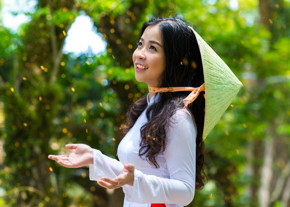 Mùa hoa sưa Tam Kỳ Mùa hoa sưa Tam Kỳ