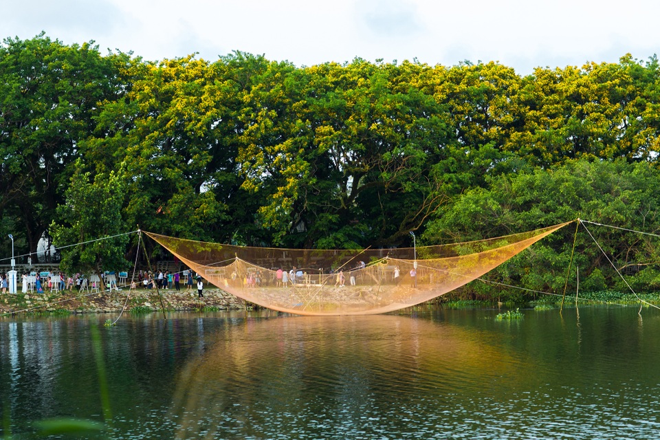 Mùa hoa sưa Tam Kỳ Mùa hoa sưa Tam Kỳ
