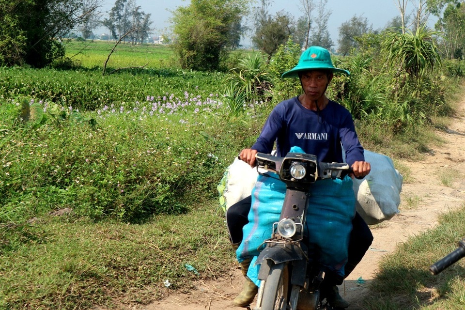 Dưa gang được mùa mất giá, dưa hấu hút hàng Dưa gang được mùa mất giá, dưa hấu hút hàng