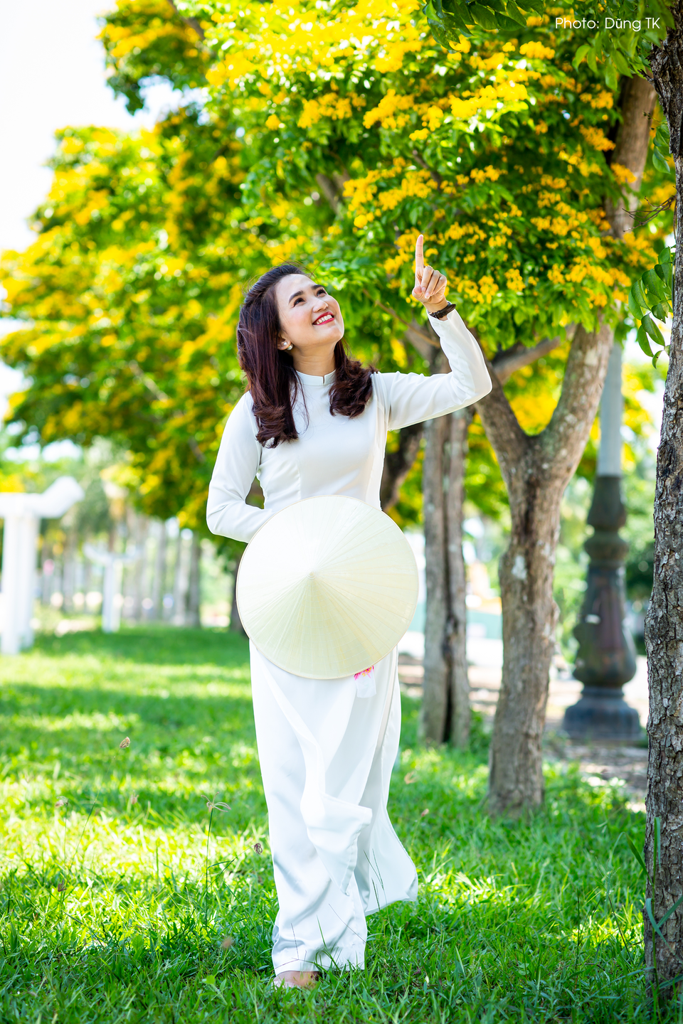Mùa hoa sưa Tam Kỳ Mùa hoa sưa Tam Kỳ