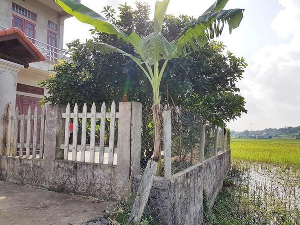 Ninh Bình: Xã “bất tuân lệnh” huyện, quyền lợi của gia đình liệt sỹ bị… bỏ rơi! - 5