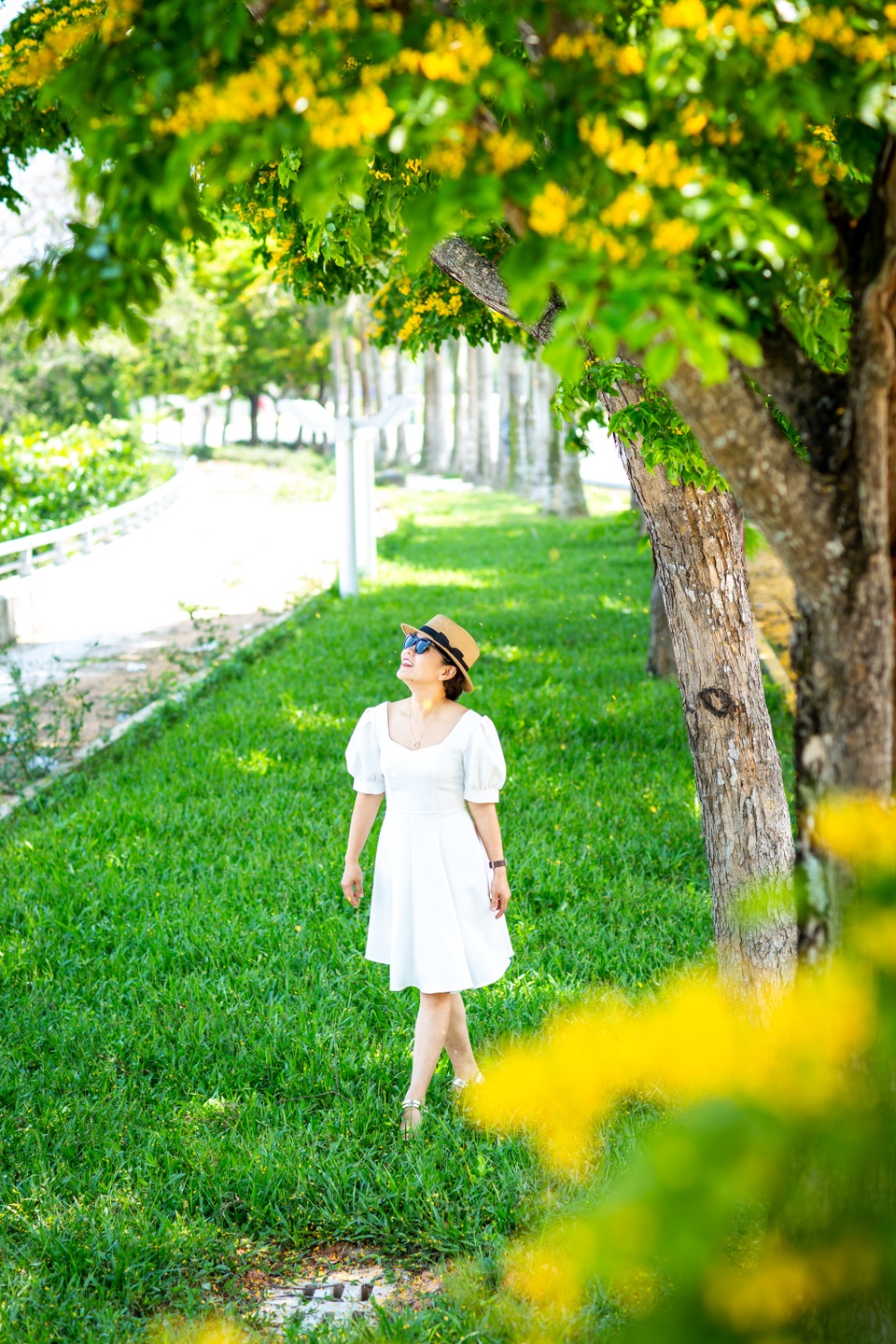 Mùa hoa sưa Tam Kỳ Mùa hoa sưa Tam Kỳ