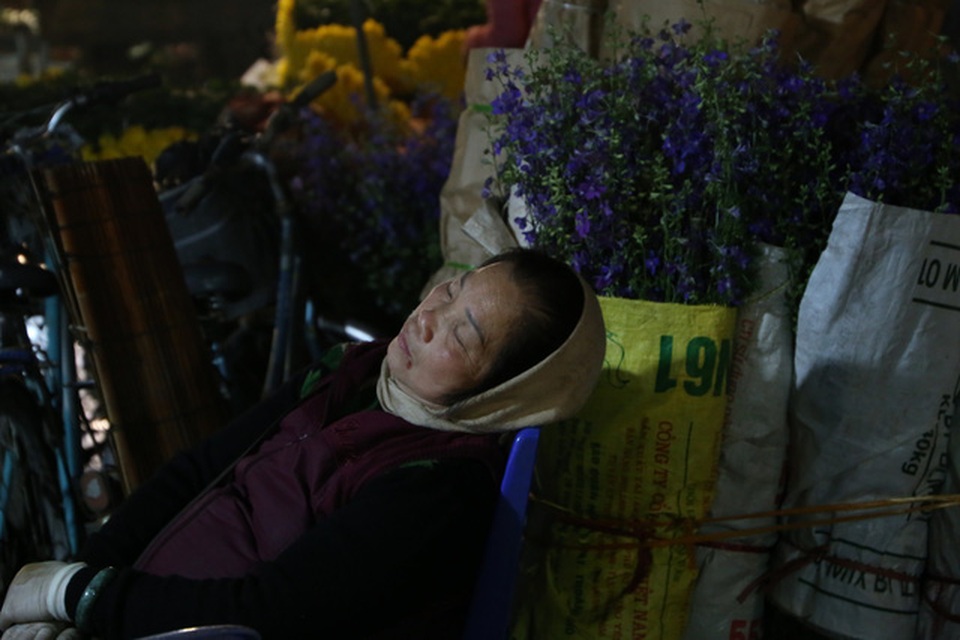 Đêm không ngủ ở chợ hoa nổi tiếng Hà Nội - 11 Đêm không ngủ ở chợ hoa nổi tiếng Hà Nội - 11