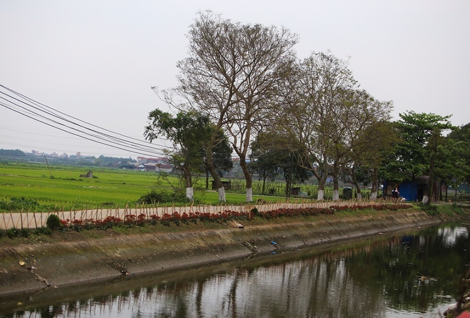 Kênh ngập rác thải biến thành đường hoa ở Hà Nội - 9 Kênh ngập rác thải biến thành đường hoa ở Hà Nội - 9