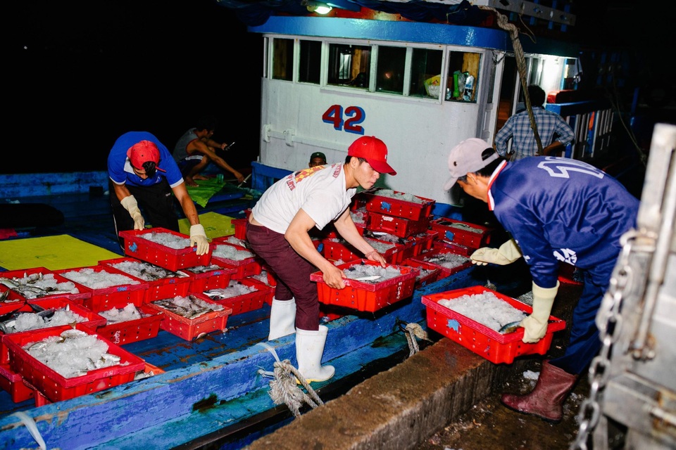 Hành trình chưa đầy 48h từ cảng biển tới bàn ăn của cá biển tại Bách hóa Xanh - 1 Hành trình chưa đầy 48h từ cảng biển tới bàn ăn của cá biển tại Bách hóa Xanh - 1
