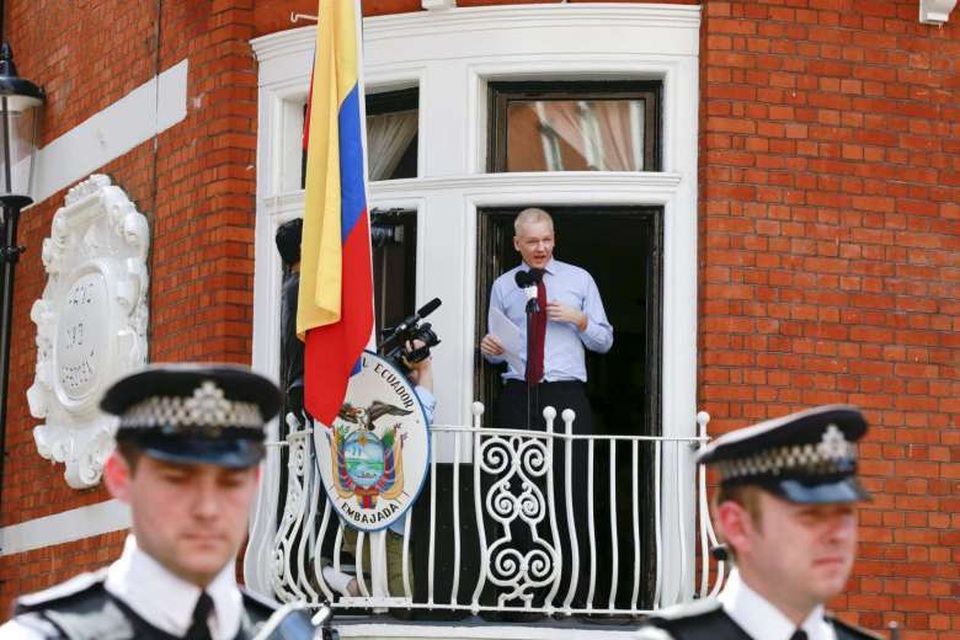 Bí ẩn tung tích mèo cưng của ông chủ WikiLeaks - 1 Bí ẩn tung tích mèo cưng của ông chủ WikiLeaks - 1