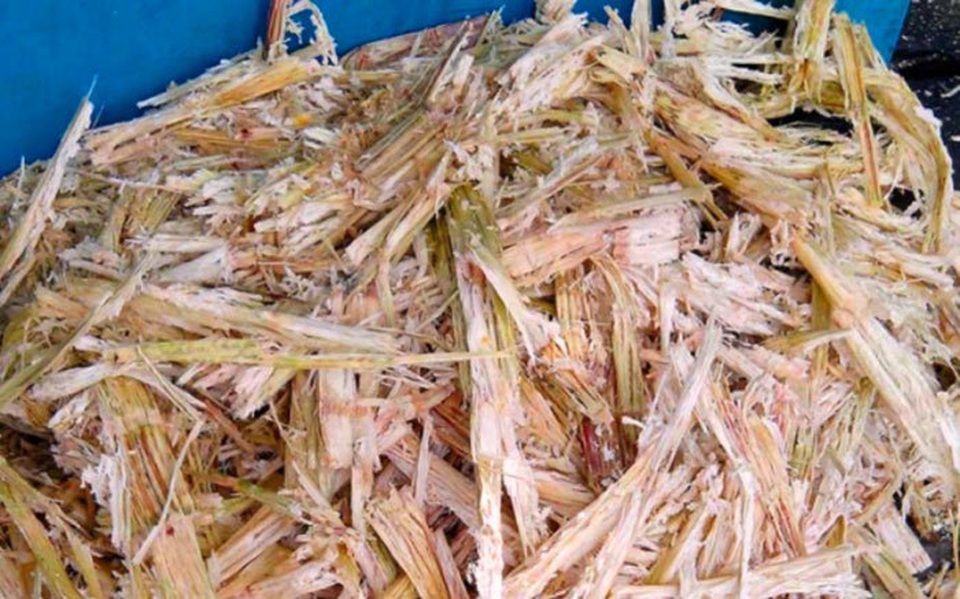 1m2 thu ròng 3 triệu đồng: Bộ trưởng Nông nghiệp hiến kế làm giàu cho dân - 2 1m2 thu ròng 3 triệu đồng: Bộ trưởng Nông nghiệp hiến kế làm giàu cho dân - 2
