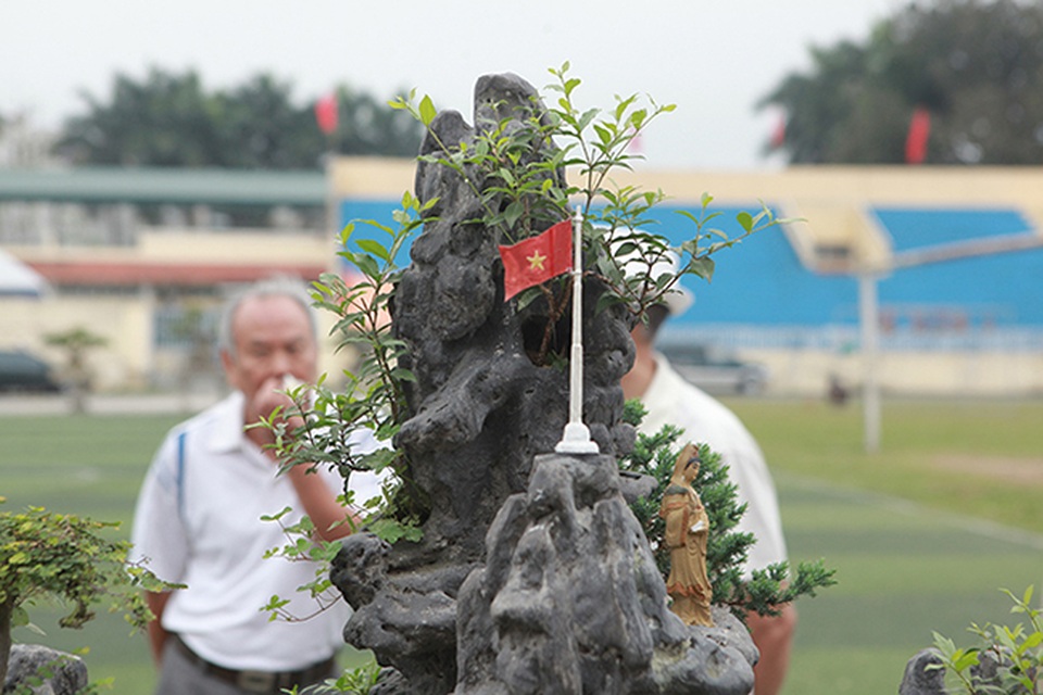 Chiêm ngưỡng Việt Bắc thu nhỏ được hét giá 500 triệu đồng - 3 Chiêm ngưỡng Việt Bắc thu nhỏ được hét giá 500 triệu đồng - 3