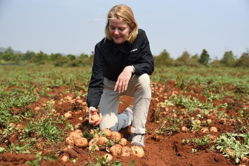 Lợi ích đa phương từ dự án Nông nghiệp bền vững của PepsiCo - 3