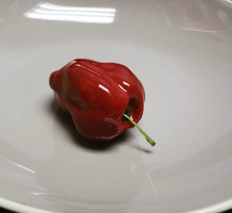 Những chiếc bánh khác thường khiến thực khách chỉ muốn “chết ngất” - 9