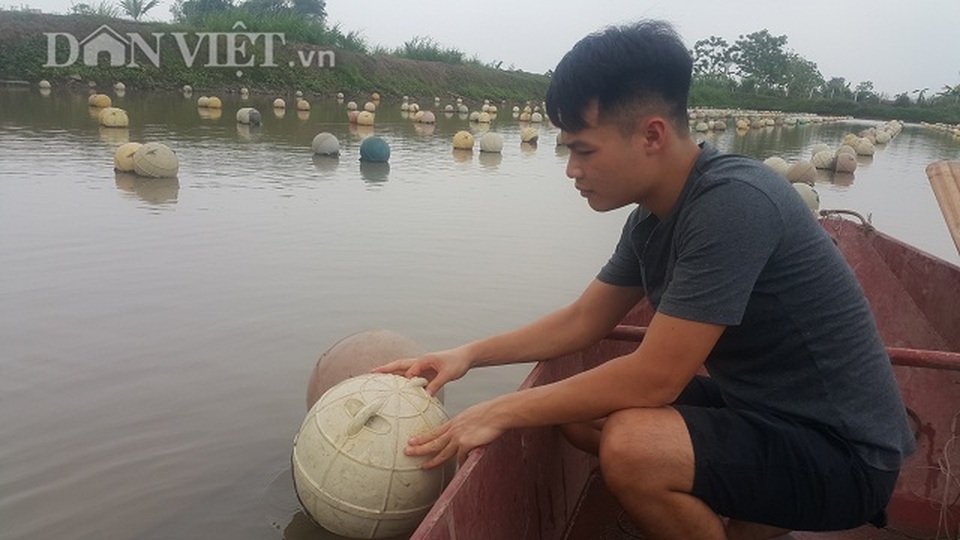 Ninh Bình: Ném 4 tỷ xuống ao, bắt trai nhả ngọc, 9X thu tiền tỷ - 3 Ninh Bình: Ném 4 tỷ xuống ao, bắt trai nhả ngọc, 9X thu tiền tỷ - 3