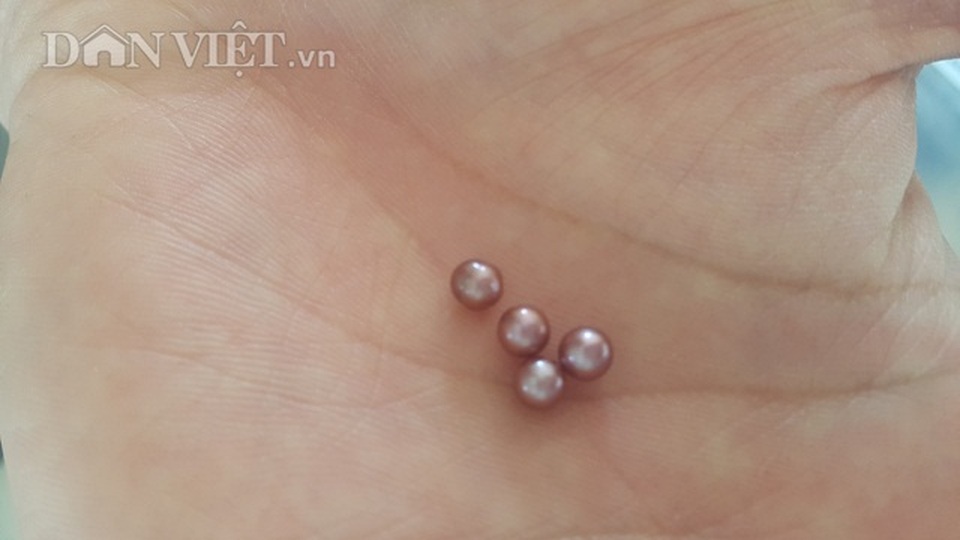 Ninh Bình: Ném 4 tỷ xuống ao, bắt trai nhả ngọc, 9X thu tiền tỷ - 4 Ninh Bình: Ném 4 tỷ xuống ao, bắt trai nhả ngọc, 9X thu tiền tỷ - 4
