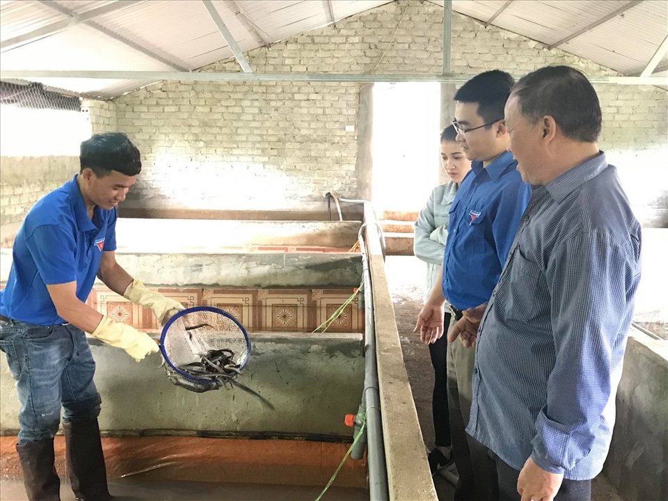 Nuôi lươn đồng không dùng bùn, chàng trai trẻ thu hàng trăm triệu/năm - 1 Nuôi lươn đồng không dùng bùn, chàng trai trẻ thu hàng trăm triệu/năm - 1
