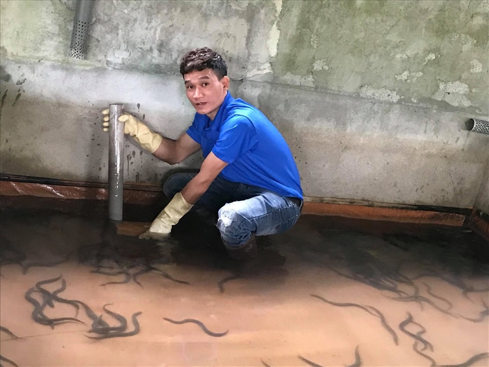 Nuôi lươn đồng không dùng bùn, chàng trai trẻ thu hàng trăm triệu/năm - 2 Nuôi lươn đồng không dùng bùn, chàng trai trẻ thu hàng trăm triệu/năm - 2