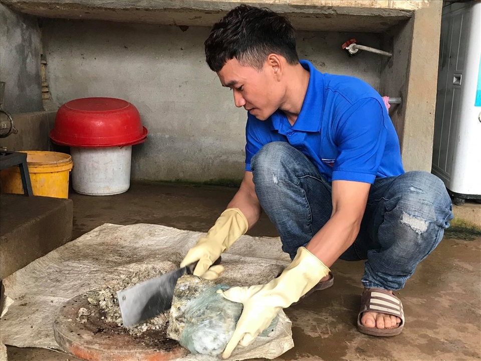 Nuôi lươn đồng không dùng bùn, chàng trai trẻ thu hàng trăm triệu/năm - 3 Nuôi lươn đồng không dùng bùn, chàng trai trẻ thu hàng trăm triệu/năm - 3