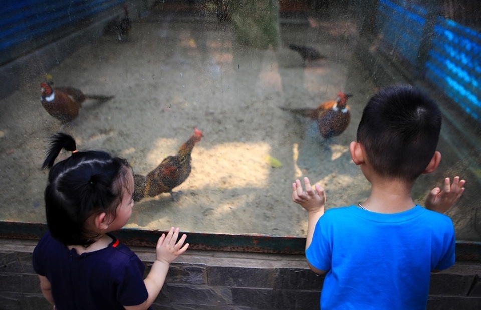 Vườn thú, công viên Hà Nội đông nghịt người trong ngày nghỉ lễ - 4 Vườn thú, công viên Hà Nội đông nghịt người trong ngày nghỉ lễ - 4