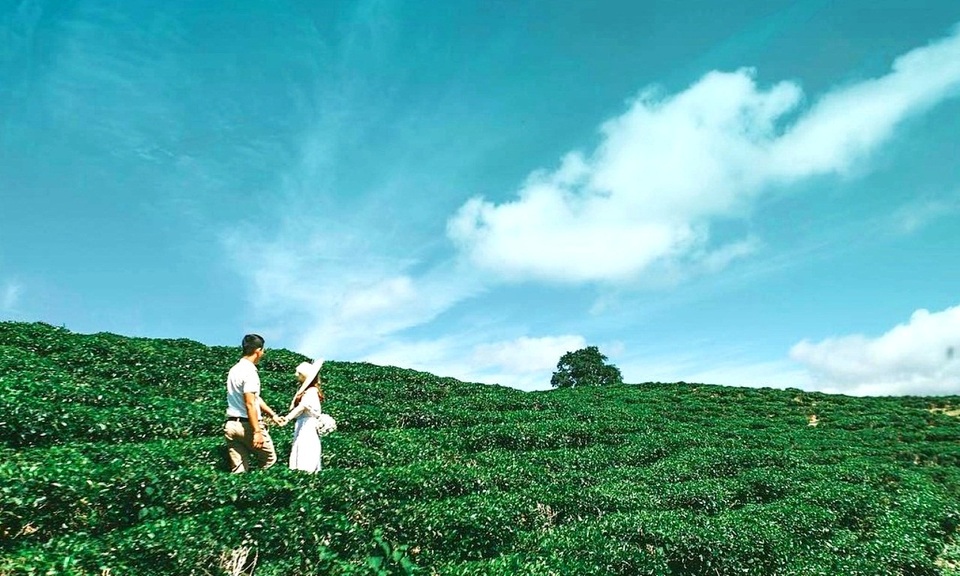 Những điểm tham quan, vui chơi 