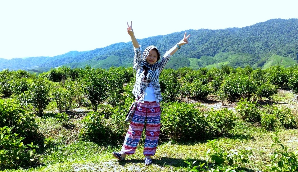 Những điểm tham quan, vui chơi 