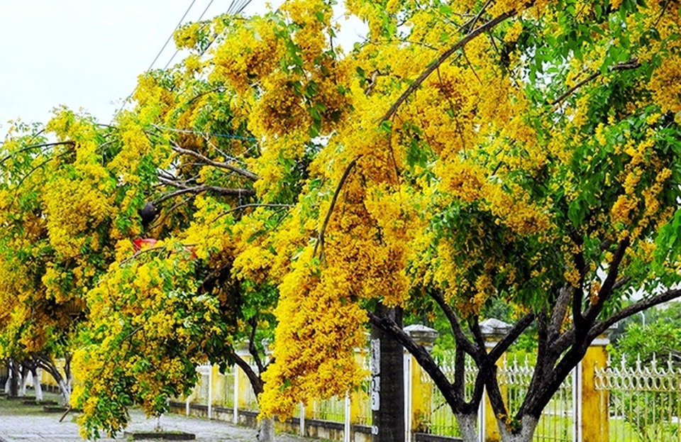 Những điểm tham quan, vui chơi 