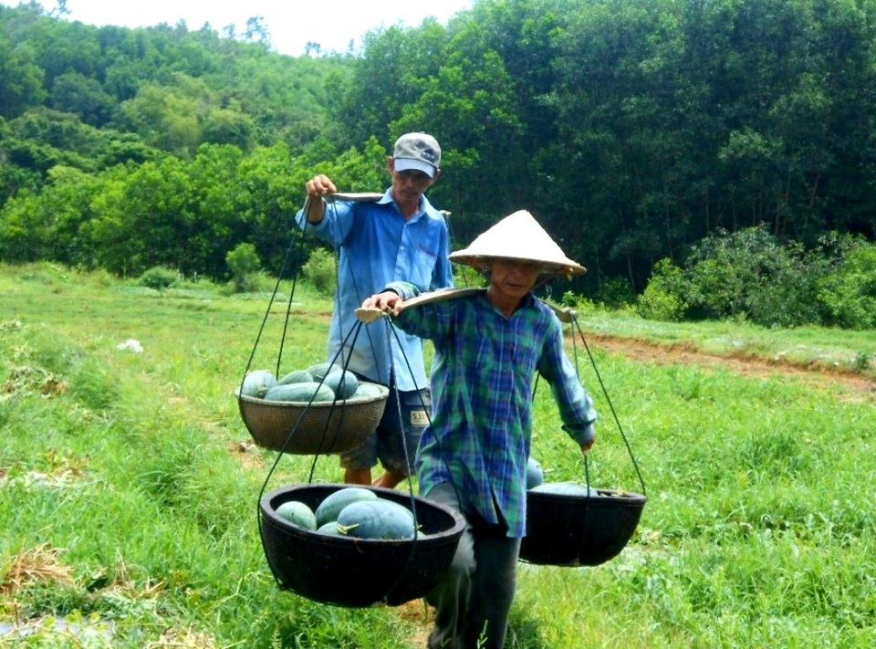 Những điểm tham quan, vui chơi 