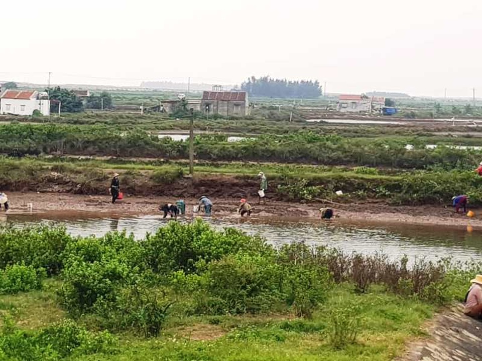 Thực hư thông tin hàng trăm người dân ra đầm “hôi” vạng - 1 Thực hư thông tin hàng trăm người dân ra đầm “hôi” vạng - 1