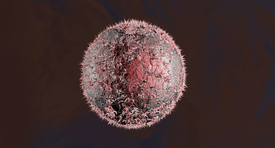 Các chuyên gia Nga phát triển loại thuốc giúp điều trị bệnh ung thư hiệu quả - 1 Các chuyên gia Nga phát triển loại thuốc giúp điều trị bệnh ung thư hiệu quả - 1