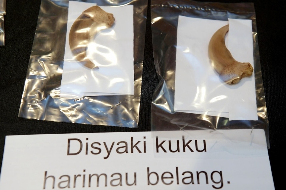 Malaysia bắt 2 người Việt Nam nghi săn trộm gấu, hổ quý hiếm - 3 Malaysia bắt 2 người Việt Nam nghi săn trộm gấu, hổ quý hiếm - 3