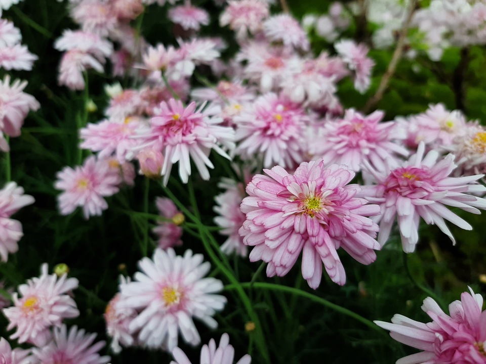 Người trẻ hưởng lợi lớn từ công nghệ camera trên Galaxy A50 - 6 Người trẻ hưởng lợi lớn từ công nghệ camera trên Galaxy A50 - 6