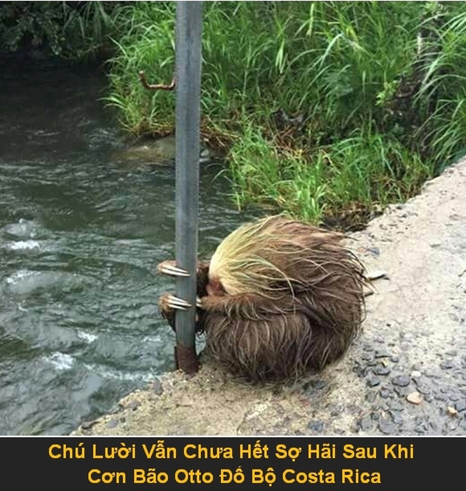 Bộ ảnh “rợn người” về sức tàn phá của các thảm họa tự nhiên - 9 Bộ ảnh “rợn người” về sức tàn phá của các thảm họa tự nhiên - 9
