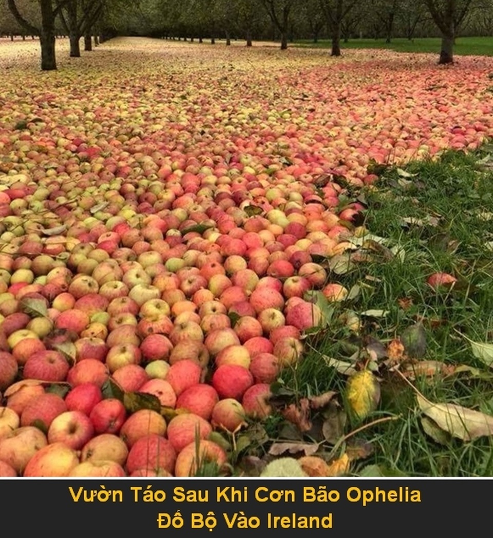 Bộ ảnh “rợn người” về sức tàn phá của các thảm họa tự nhiên - 1 Bộ ảnh “rợn người” về sức tàn phá của các thảm họa tự nhiên - 1