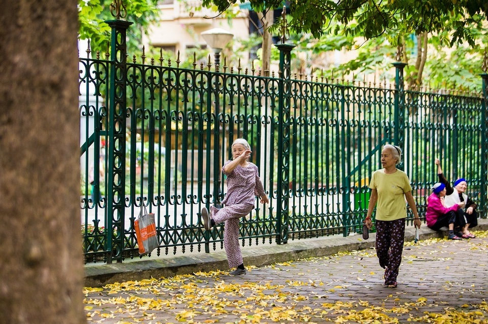 Ngẩn ngơ trước vẻ đẹp của phố phường Hà Nội mùa lá rụng - 11 Ngẩn ngơ trước vẻ đẹp của phố phường Hà Nội mùa lá rụng - 11