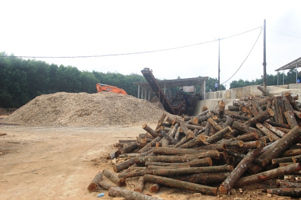 Quảng Trị: Phát hiện thêm sai phạm tại doanh nghiệp phớt lờ chỉ đạo của chính quyền! - 4 Quảng Trị: Phát hiện thêm sai phạm tại doanh nghiệp phớt lờ chỉ đạo của chính quyền! - 4