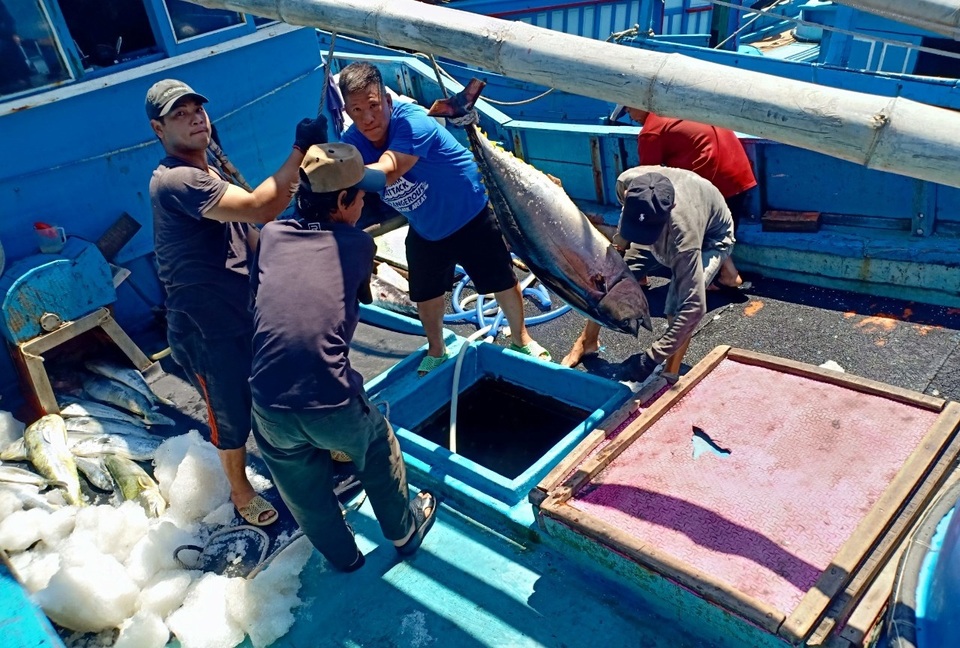 Ngư dân “méo mặt” vì mất mùa cá ngừ đại dương ở Trường Sa - 1 Ngư dân “méo mặt” vì mất mùa cá ngừ đại dương ở Trường Sa - 1