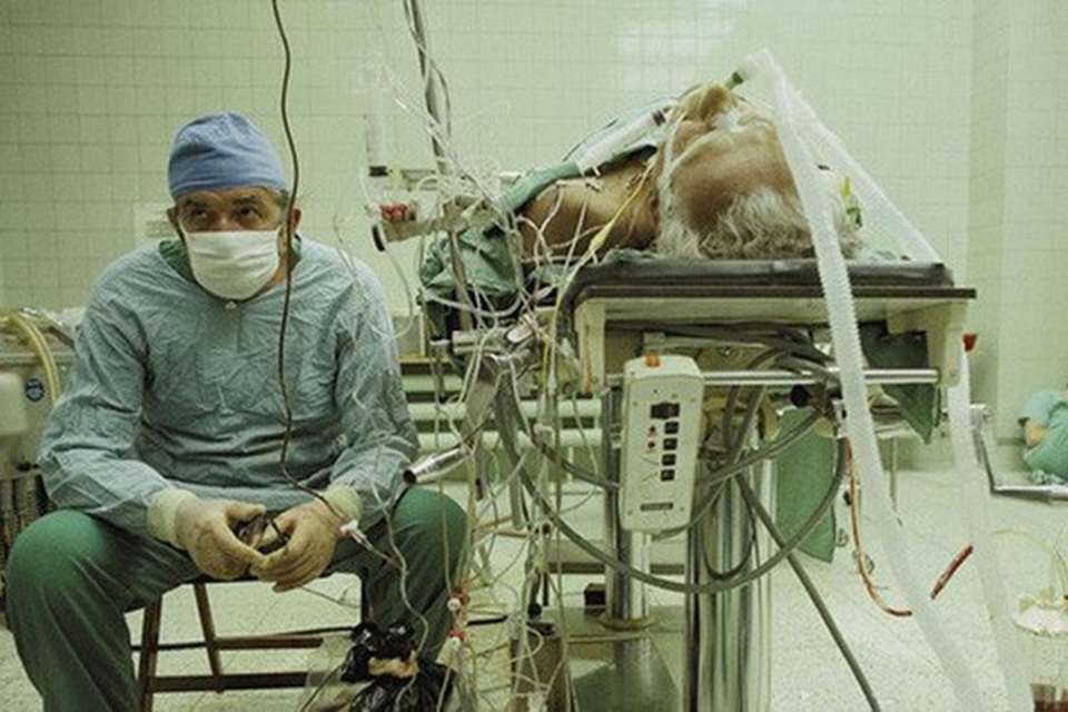 Bác sĩ và “tình trạng bát phở” giả vờ đủ
                
                    LĐO | 16/04/2019 | 17:20 - 1