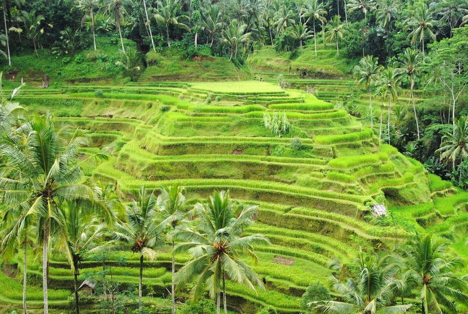 Ngoài biển đảo, Bali còn vô số điểm check in đẹp như mơ! - 15 Ngoài biển đảo, Bali còn vô số điểm check in đẹp như mơ! - 15