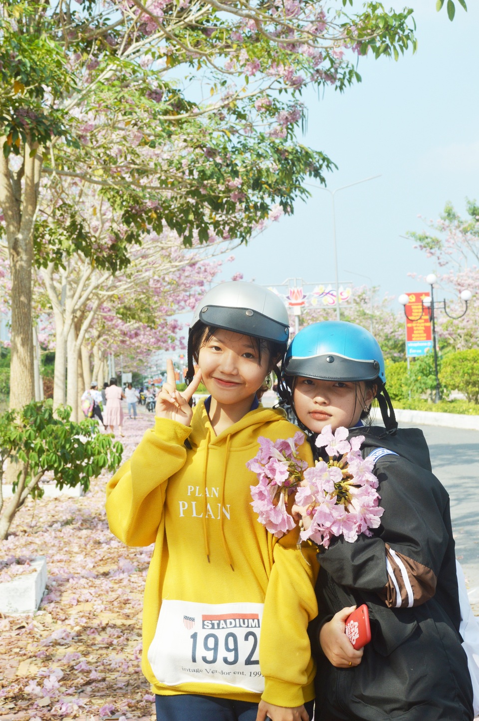 Mê mẩn với con đường hoa kèn hồng có “1-0-2” ở Sóc Trăng - 6 Mê mẩn với con đường hoa kèn hồng có “1-0-2” ở Sóc Trăng - 6