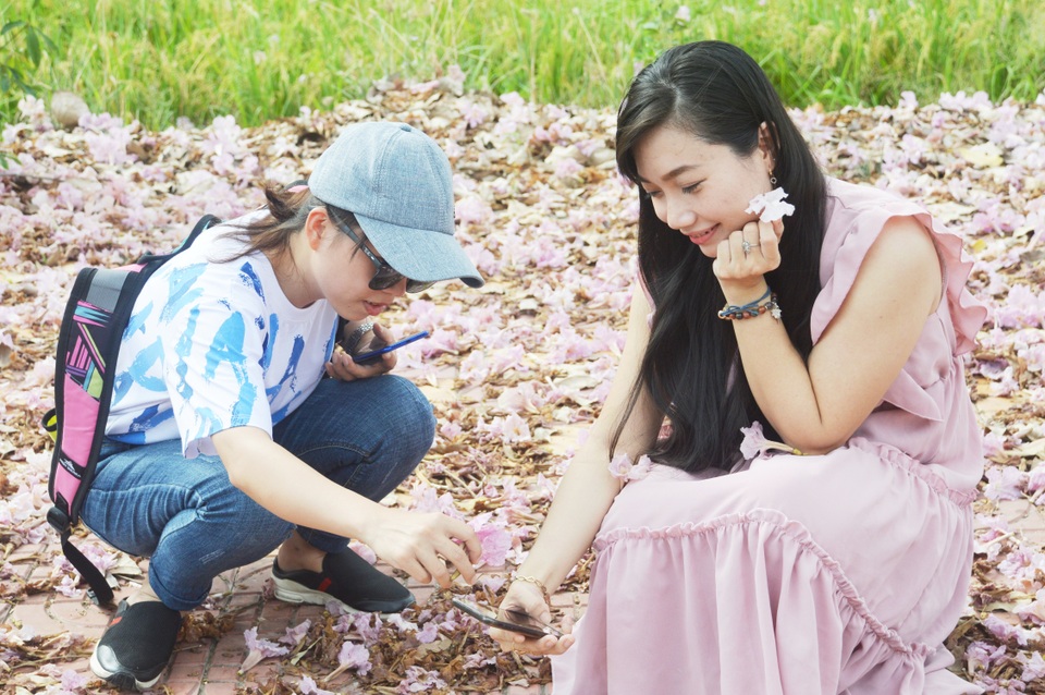 Mê mẩn với con đường hoa kèn hồng có “1-0-2” ở Sóc Trăng - 7 Mê mẩn với con đường hoa kèn hồng có “1-0-2” ở Sóc Trăng - 7