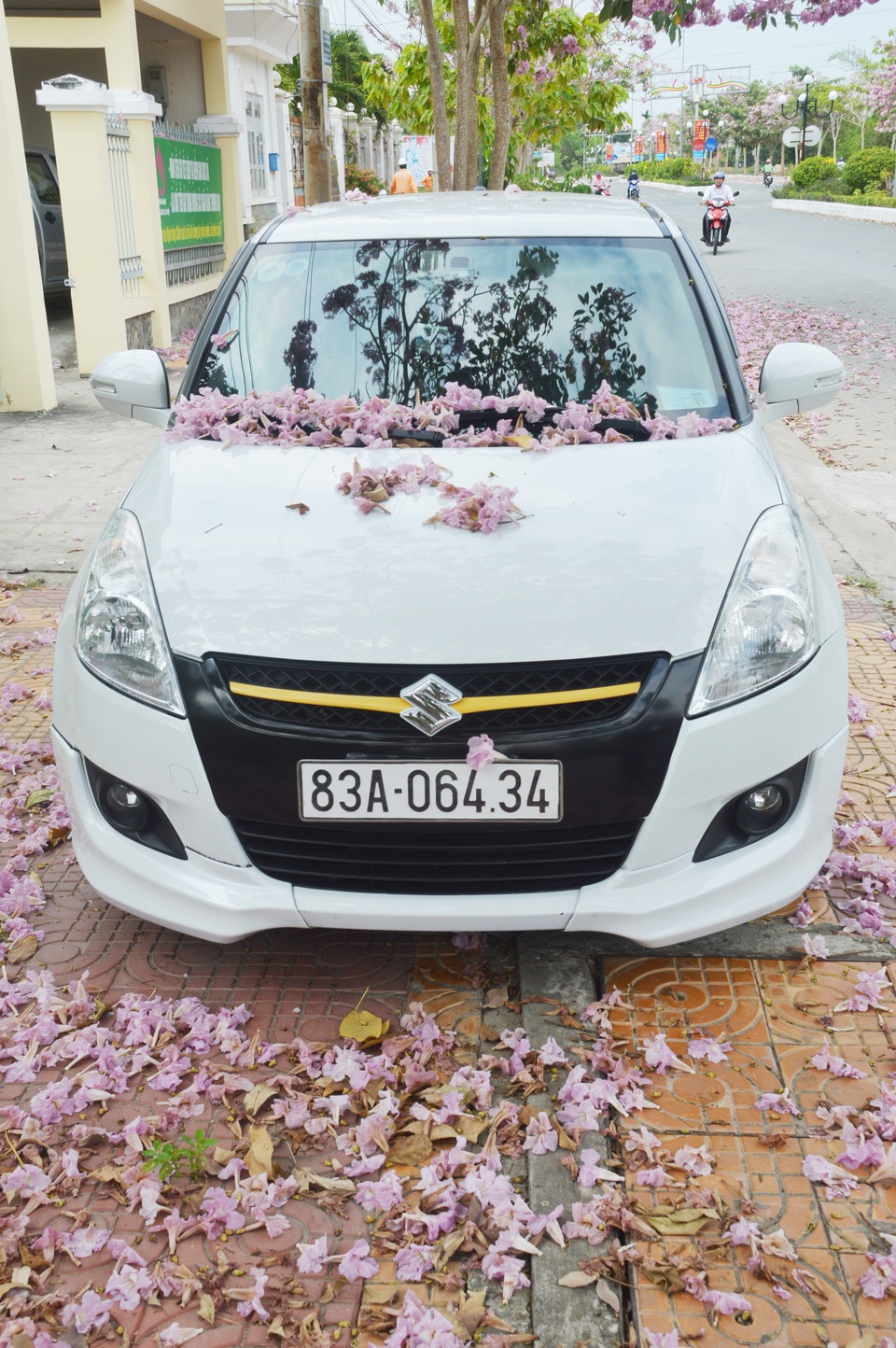 Mê mẩn với con đường hoa kèn hồng có “1-0-2” ở Sóc Trăng - 10 Mê mẩn với con đường hoa kèn hồng có “1-0-2” ở Sóc Trăng - 10