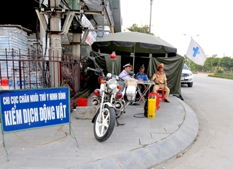 Ninh Bình: “Dập” được ổ dịch cũ, xuất hiện thêm 2 ổ dịch tả lợn châu Phi mới - 1 Ninh Bình: “Dập” được ổ dịch cũ, xuất hiện thêm 2 ổ dịch tả lợn châu Phi mới - 1