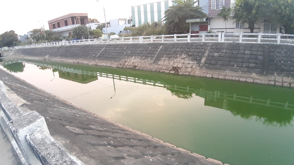 Đà Nẵng: Gần 2 km kênh đổi màu xanh bất thường và bốc mùi - 1