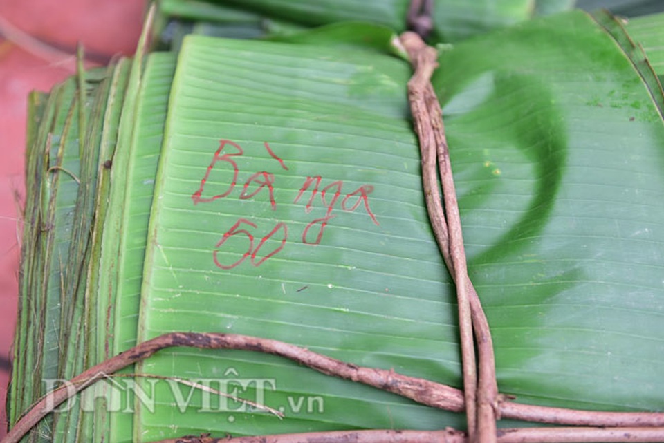 Vào rừng hái lá chuối bán 10.000 đồng/kg hết vèo - 10 Vào rừng hái lá chuối bán 10.000 đồng/kg hết vèo - 10