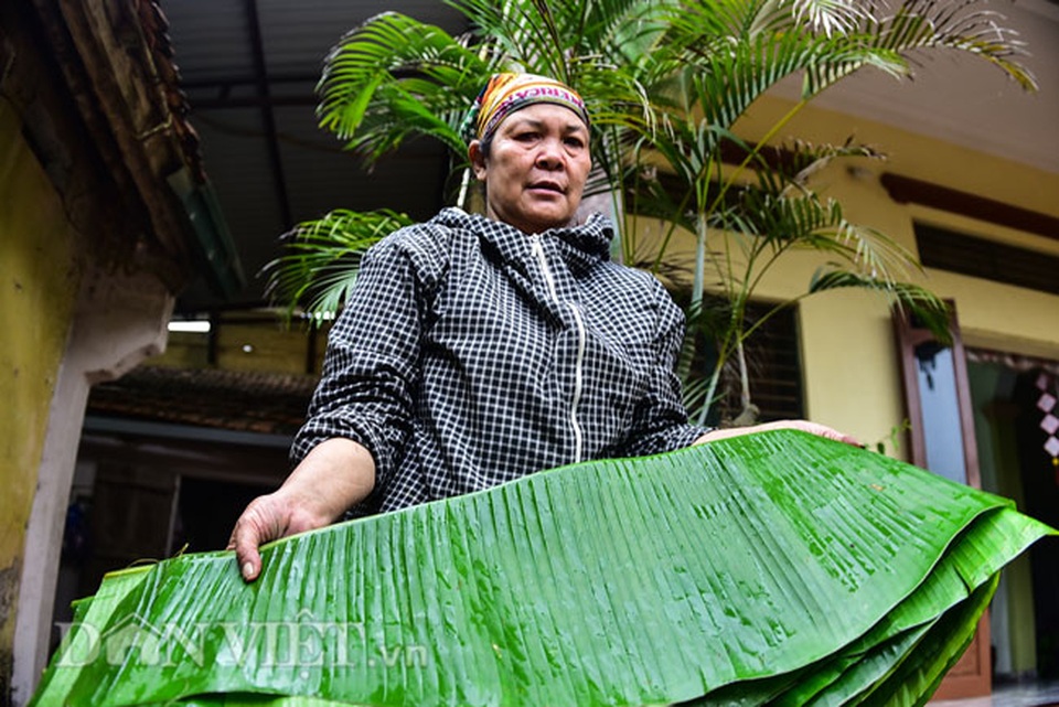 Vào rừng hái lá chuối bán 10.000 đồng/kg hết vèo - 9 Vào rừng hái lá chuối bán 10.000 đồng/kg hết vèo - 9