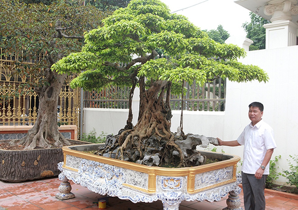 Sanh cổ vua Bảo Đại từng chơi, thời điểm “sốt” được định giá trên 30 tỷ đồng - 9 Sanh cổ vua Bảo Đại từng chơi, thời điểm “sốt” được định giá trên 30 tỷ đồng - 9
